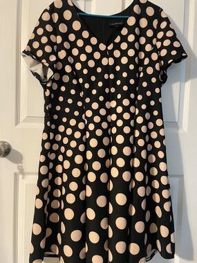 Lane Bryant Black Dress with Cream Polka Dots